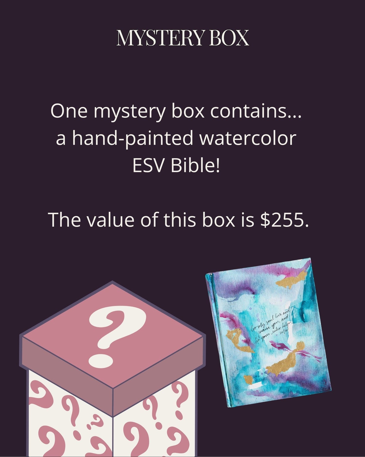 2025 Mystery Box