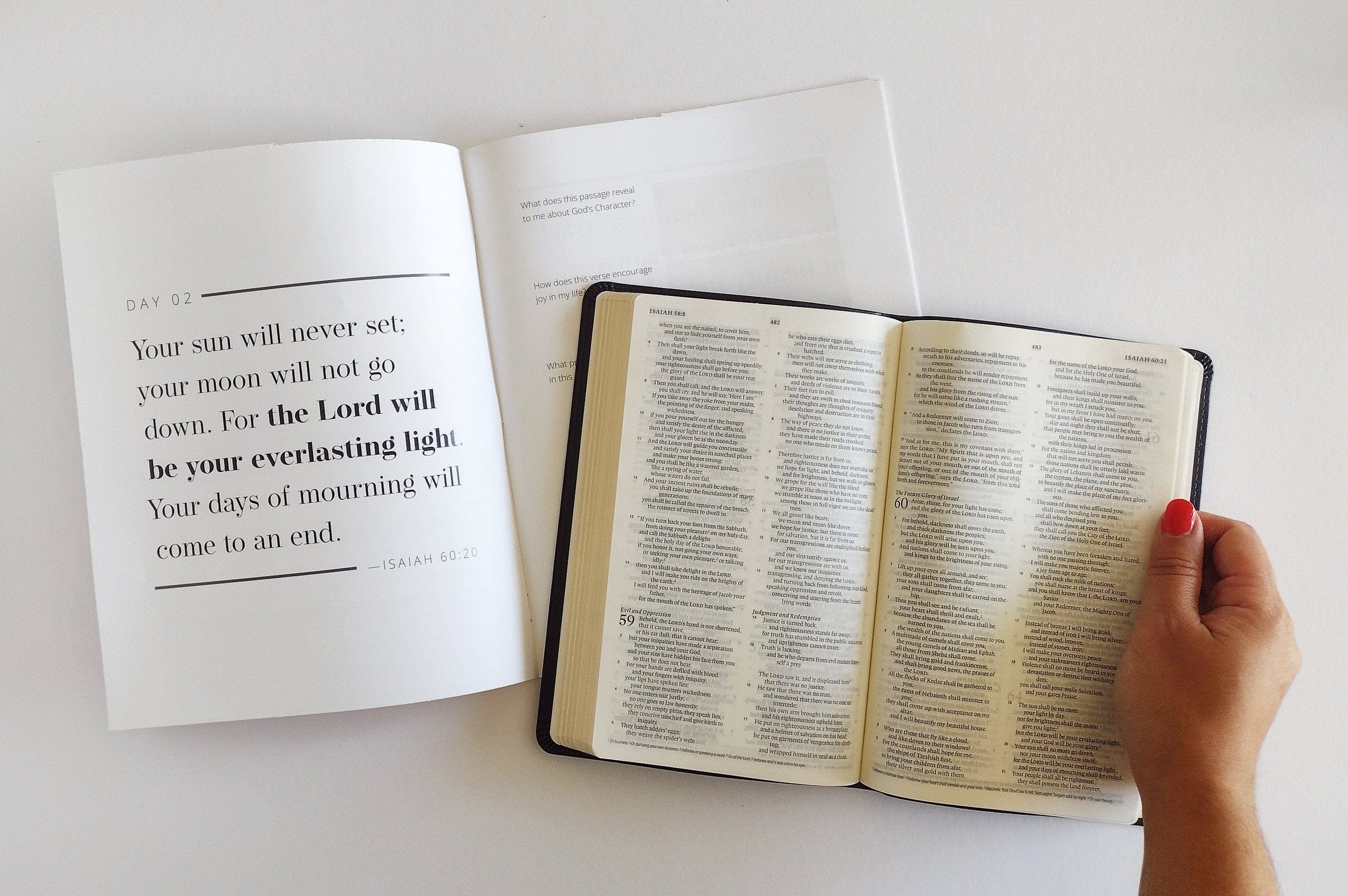 Joy in the Desert Study Book